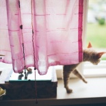 Красота в глазах смотрящего...