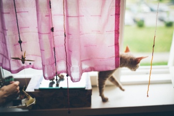 Мила Крюкова, #91480