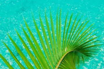 Екатерина Мухина, #107800