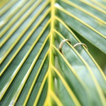 Свадебная фотосессия на пляже Зоклет