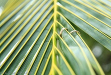 Свадебная фотосессия на пляже Зоклет