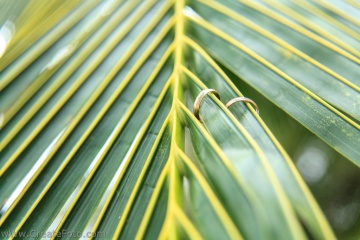 Артем Волчков, #96443