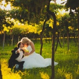 Вячеслав и Екатерина | Verona