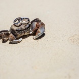 Сейшелы, Свадьба Игоря и Насти, часть 1.