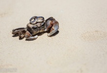 Сейшелы, Свадьба Игоря и Насти, часть 1.