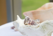 Александр и Ольга