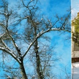 Съемка в старинной усадьбе