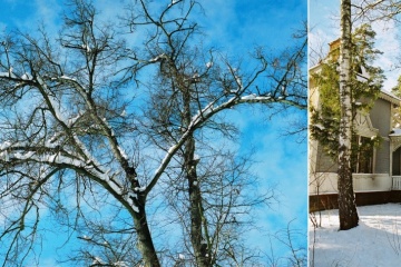 Ирина Мандрыка, #109752