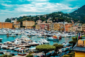 Алена Гульченко, #110911