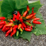 Свадьба в Италии. Комо.