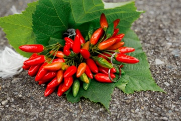 Алена Гульченко, #110951