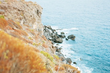 Ксения Милушкина, #116558