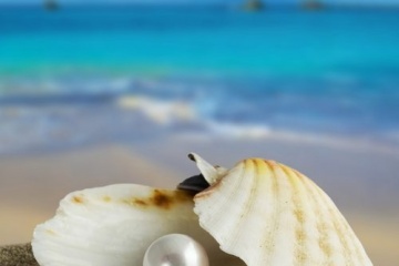 Ирина Скала, #124219