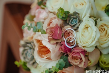 inTropics .com, #130337