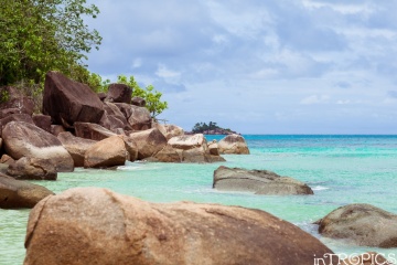 inTropics .com, #135919