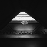 Эльдар и Лера