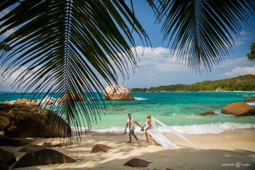 Светлана Ставцева, #147292