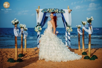 All Egypt Wedding, #153874