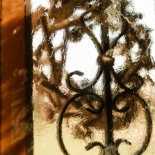 Маленький Леонард