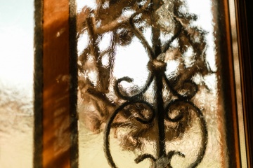 Lena Zashchitina, #156422