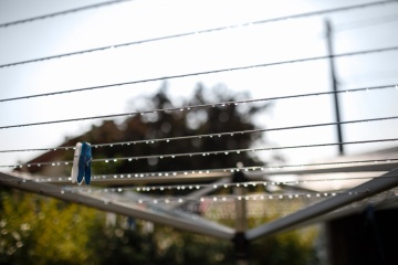 Lena Zashchitina, #161263