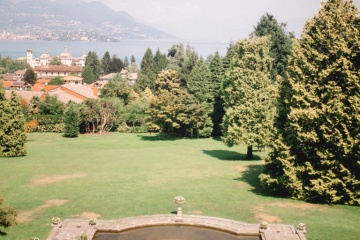 Родион Шапор, #166224