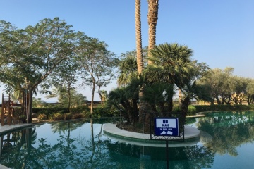 Алёна Киселёва, #167895