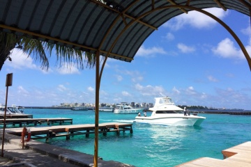 Алёна Киселёва, #167913