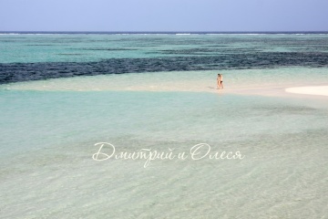 Елена Бессонова, #169431