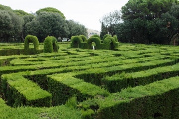 Антон Кузнецов, #171053