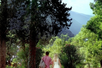 Алексей Данидоф, #171806