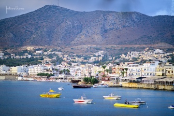 Татьяна Волкова, #178369