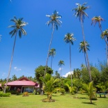 Свадьба Рустам и Ксения на Самуи