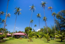 Свадьба Рустам и Ксения на Самуи
