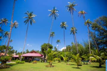 Димас Фролов, #178976