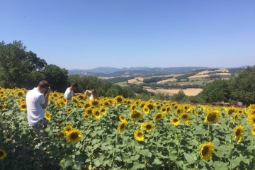 Mushchenko wedding, #181476