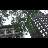 Нью Йорк Лав