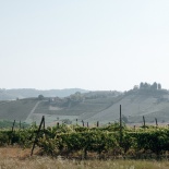 Норвежская свадьба в Италии