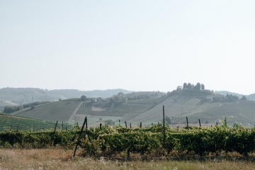 Андрей Вокс, #191074