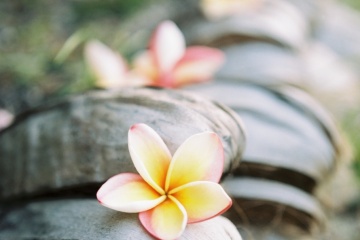 Мария Пастух, #193944