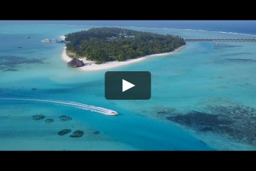 Сергей Солнцев, #212209