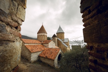 Митя Степанов, #218002