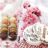 Сакура и Париж