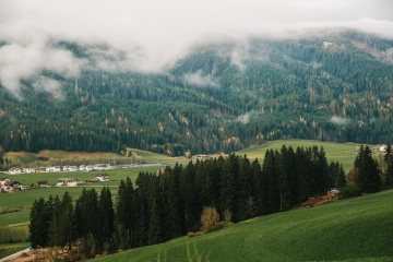 Леся Оскирко, #225669