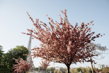 Дмитрий Финько, #229581