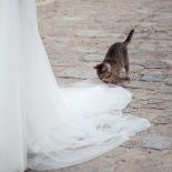 Свадебная прогулка Василия и Анастасии