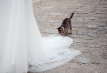 Свадебная прогулка Василия и Анастасии