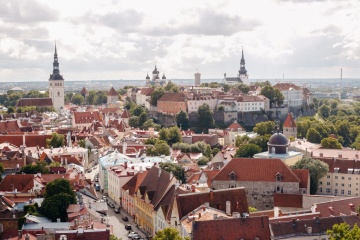 Аня Липман, #234403