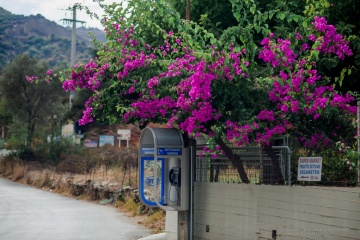 Евгения Кононова, #234433