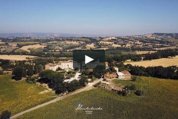 Mushchenko wedding, #236051